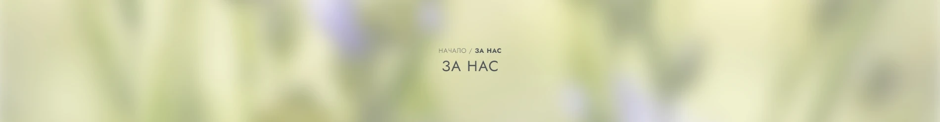 Банер ePlantus